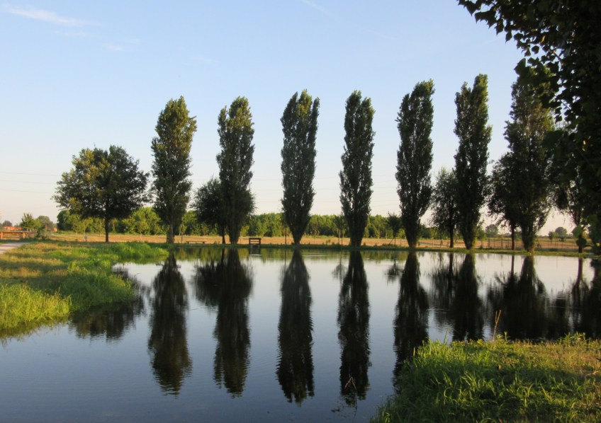 Photo by Kevin Mayne