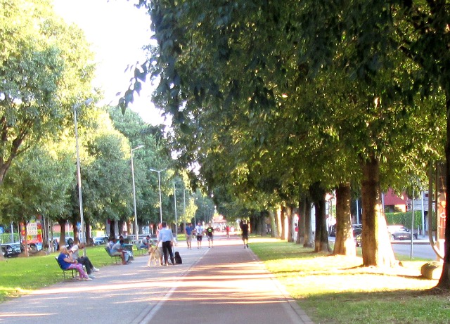 Photo by Kevin Mayne