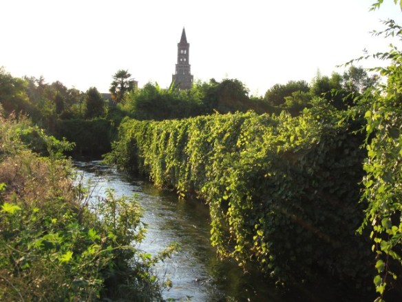 Photo by Kevin Mayne