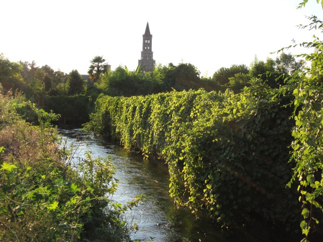 Photo by Kevin Mayne