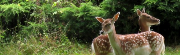 Photo by Kevin Mayne