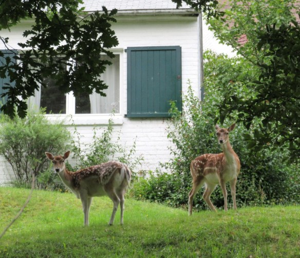 Photo by Kevin Mayne