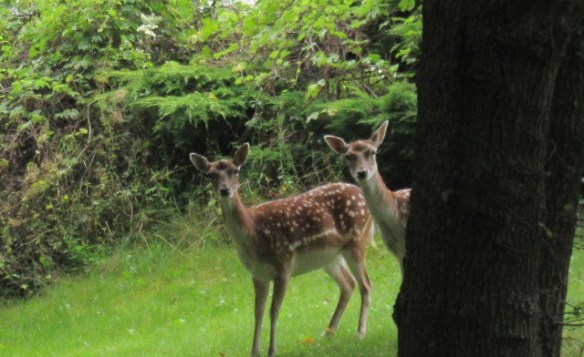 Photo by Kevin Mayne