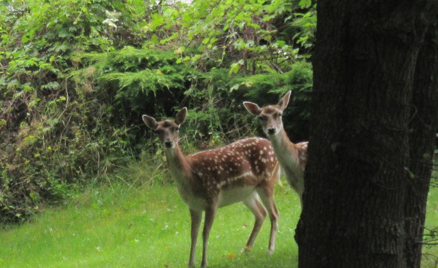 Photo by Kevin Mayne