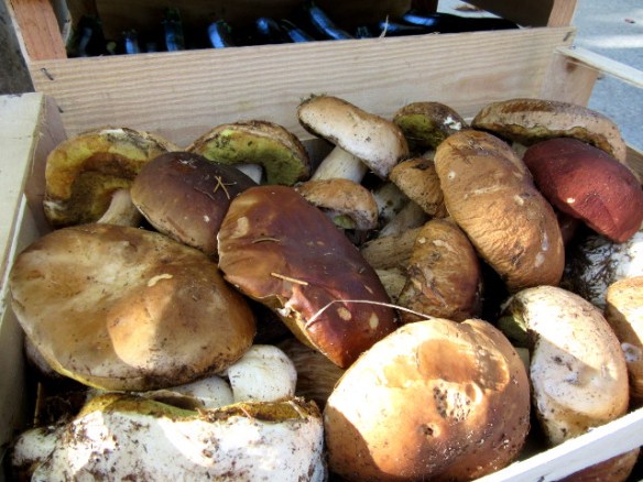 Photo copyright Kevin Mayne