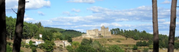 Photo Copyright by Kevin Mayne