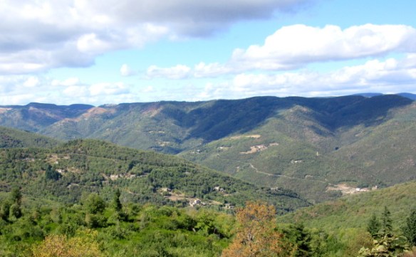 Copyright photo Kevin Mayne