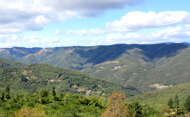 Copyright photo Kevin Mayne