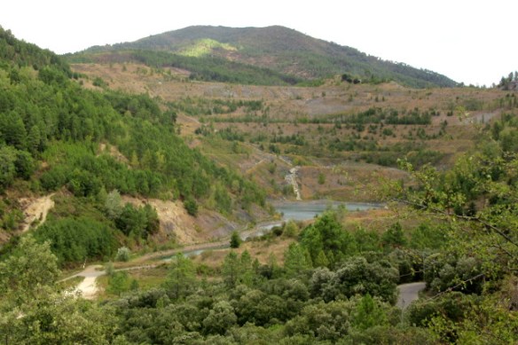 Copyright photo Kevin Mayne