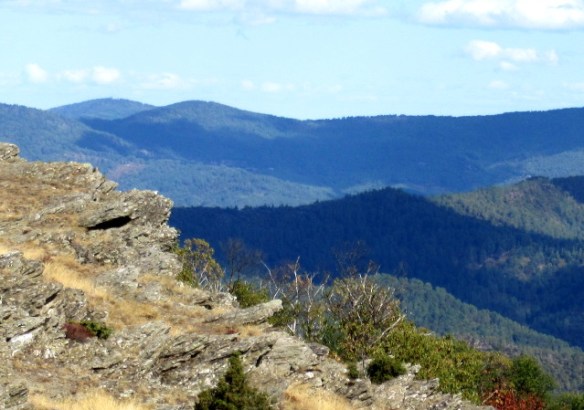 Copyright photo Kevin Mayne