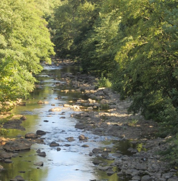 Photo copyright Kevin Mayne