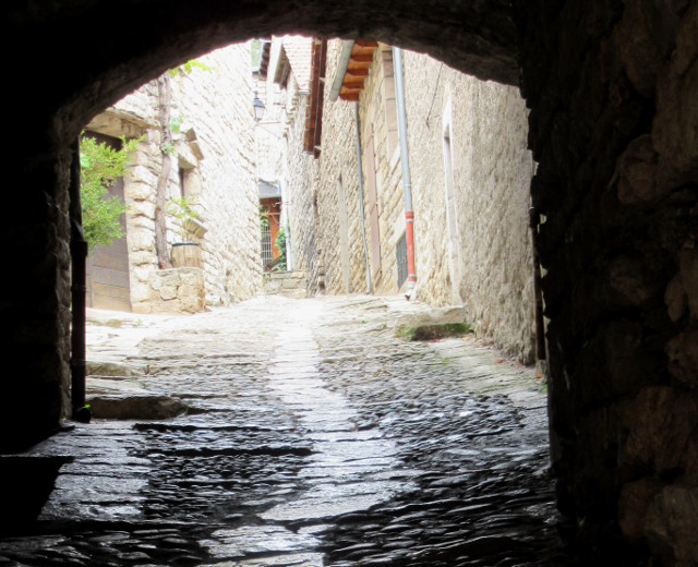 Copyright photo Kevin Mayne