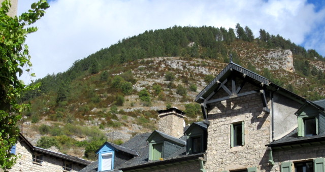 Copyright photo Kevin Mayne