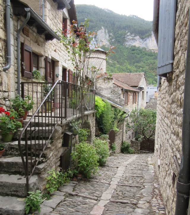 Copyright photo Kevin Mayne