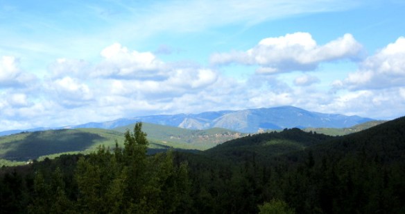 Copyright photo Kevin Mayne