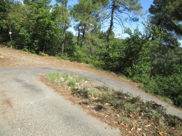 Copyright photo Kevin Mayne