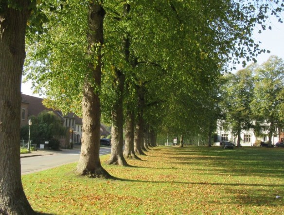 Copyright photo Kevin Mayne