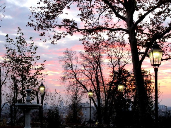 Copyright photo Kevin Mayne