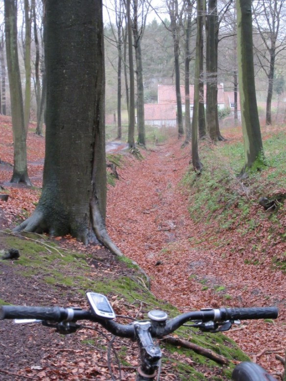 Copyright photo by Kevin Mayne