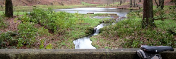 Copyright photo by Kevin Mayne