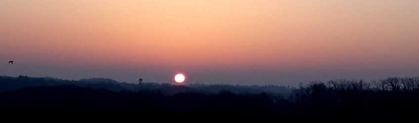 Copyright photo Kevin Mayne