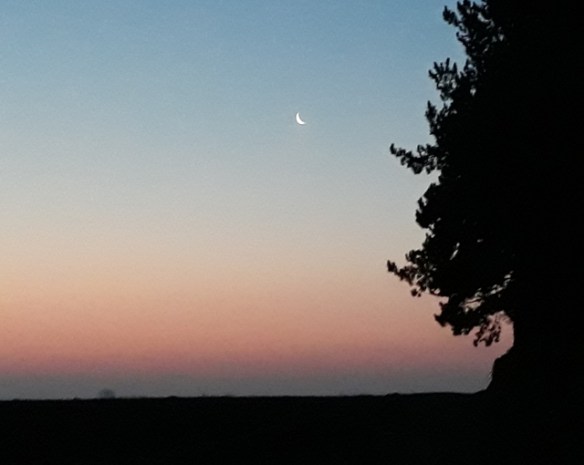 Copyright photo Kevin Mayne