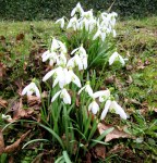 Copyright photo by Kevin Mayne