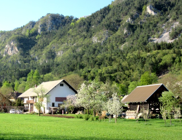 Copyright photo Kevin Mayne