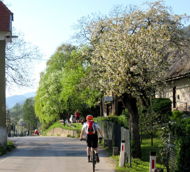 Copyright photo Kevin Mayne