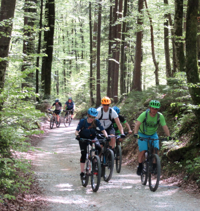 Copyright photo Kevin Mayne