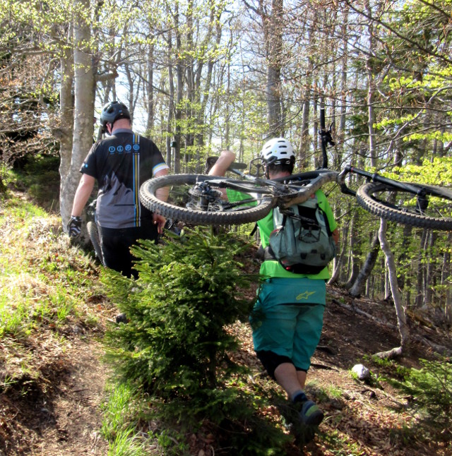 Copyright photo Kevin Mayne