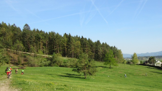 Copyright photo Kevin Mayne