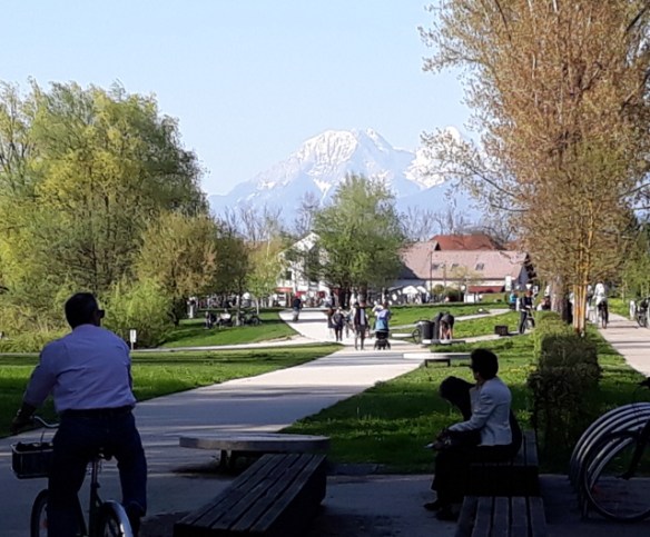 Copyright photography Kevin Mayne