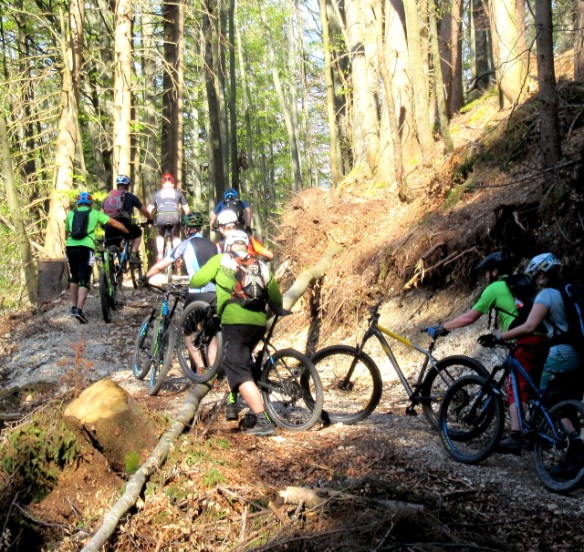 Copyright photo Kevin Mayne