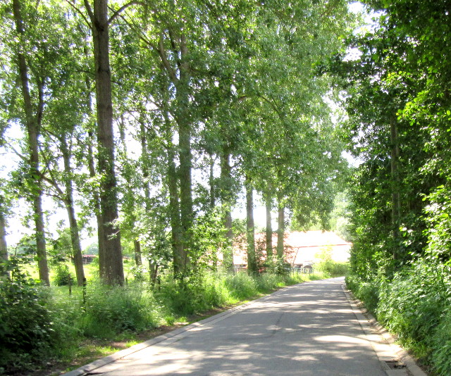 Copright photography Kevin Mayne