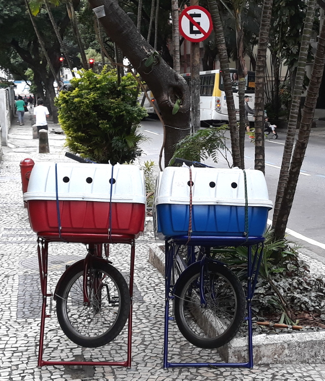 Copyright photo by Kevin Mayne