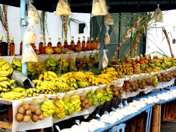 Copyright photography by Kevin Mayne