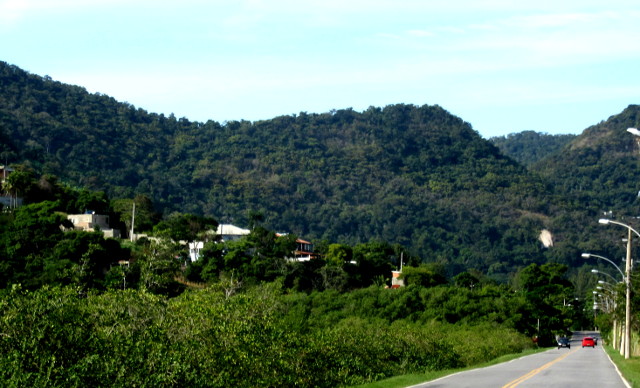 Copyright photography by Kevin Mayne