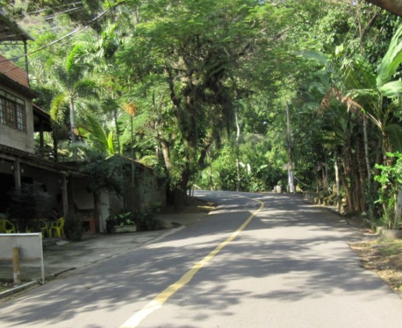 Copyright photography by Kevin Mayne