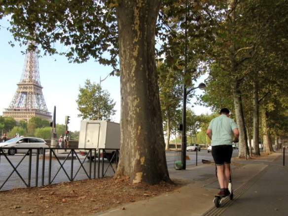 Copyright photography by Kevin Mayne