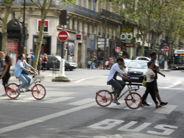 Copyright photo Kevin mayne