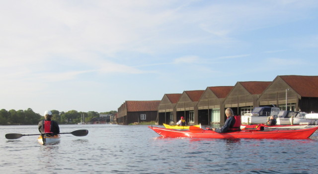 Copyright photo Kevin Mayne