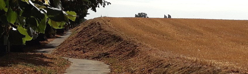 Copyright photo Kevin Mayne