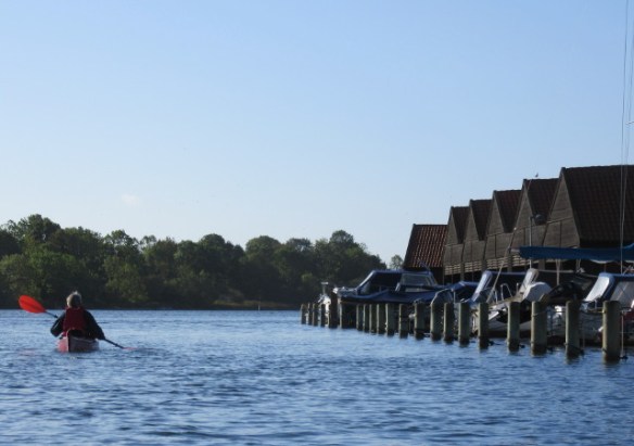 Copyright photo Kevin Mayne