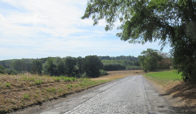 Copyright photo Kevin Mayne