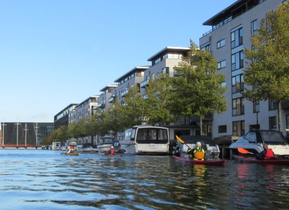 Copyright photo Kevin Mayne