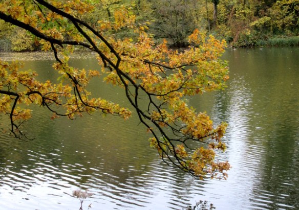 Copyright photo Kevin Mayne