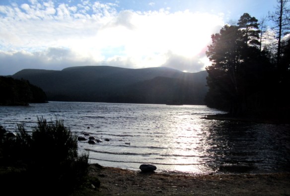 Copyright photograph Kevin Mayne