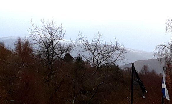 Copyright photograph Kevin Mayne