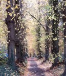 Copyright photo Kevin Mayne